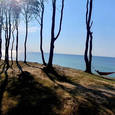 Na Klifie - Forest & Sea *