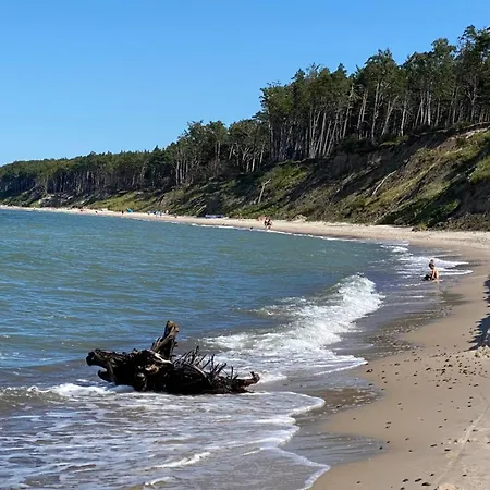 Na Klifie - Forest & Sea