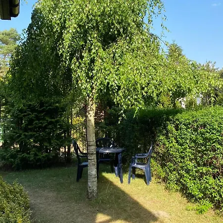 Hébergement de vacances Na Klifie - Forest & Sea Poddąbie