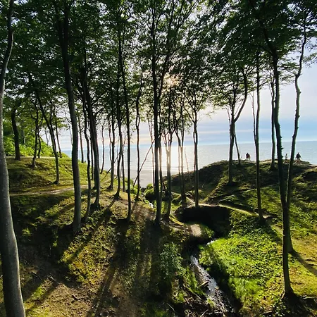 Na Klifie - Forest & Sea Poddąbie