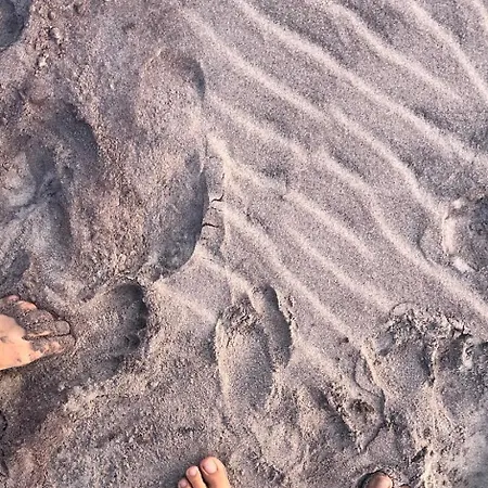 Na Klifie - Forest & Sea Poddąbie